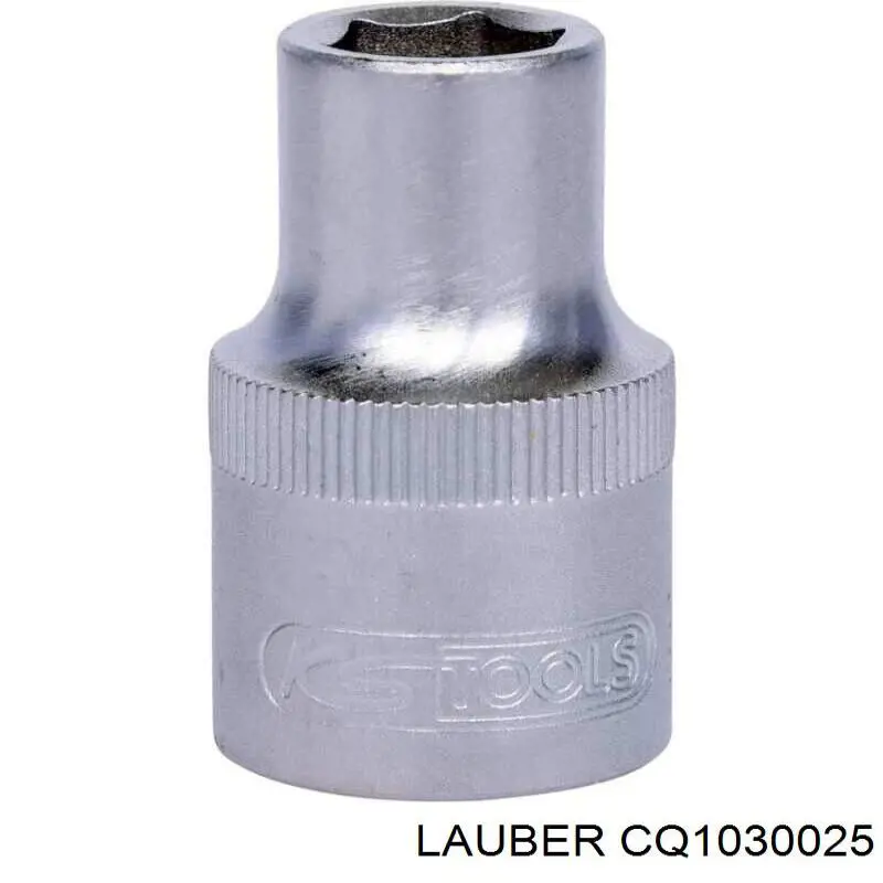 Escova do gerador CQ1030025 Lauber