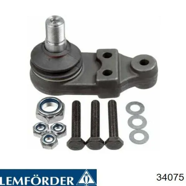 Suporte de esfera inferior Lemforder 34075