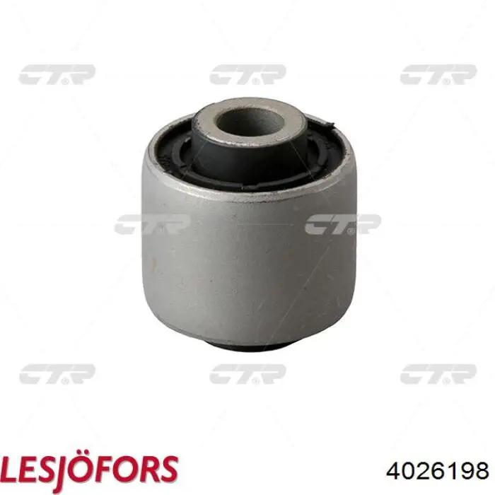 Compre 4026198 Lesjofors Mola dianteira