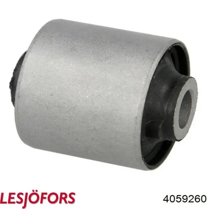 4059260 Lesjofors Mola dianteira