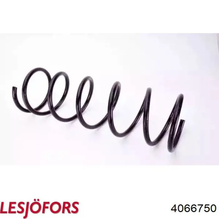 Compre 4066750 Lesjofors Mola dianteira