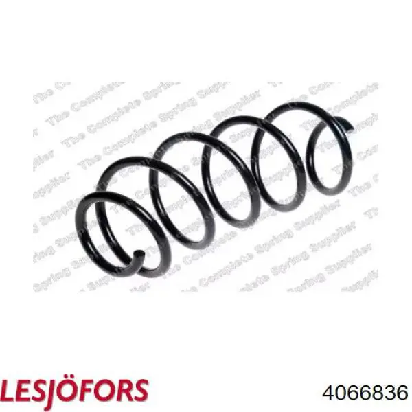 9802156580 Peugeot/Citroen Mola dianteira