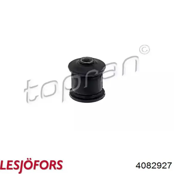 Mola dianteira Lesjofors 4082927 preço, a partir de 49,79 USD