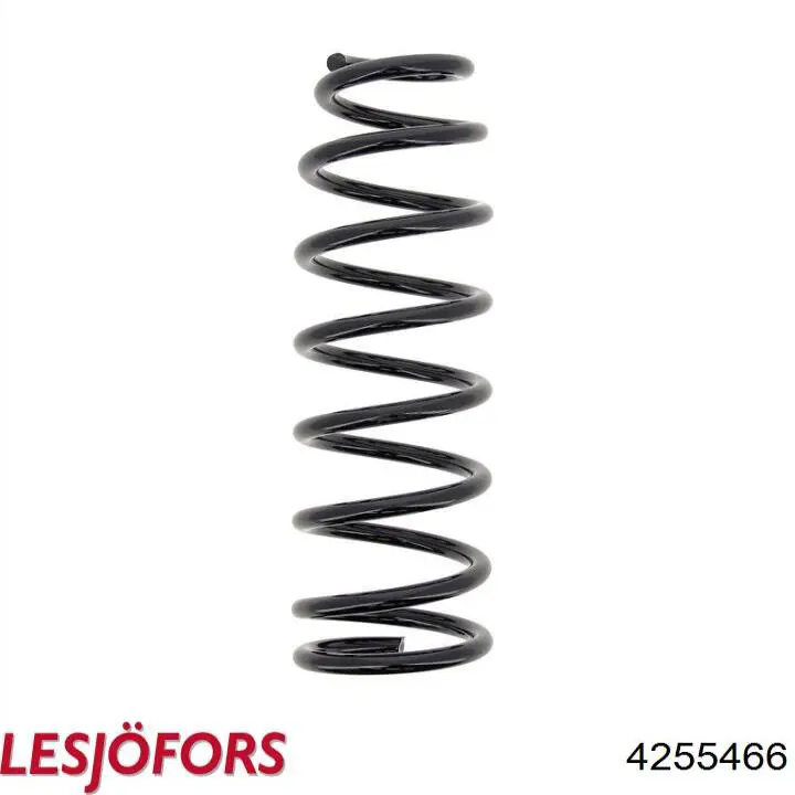 Compre 4255466 Lesjofors Mola traseira