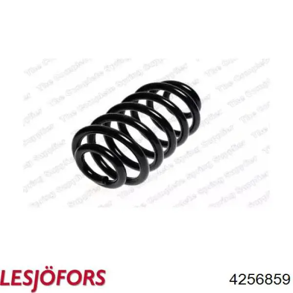 Compre 4256859 Lesjofors Mola traseira