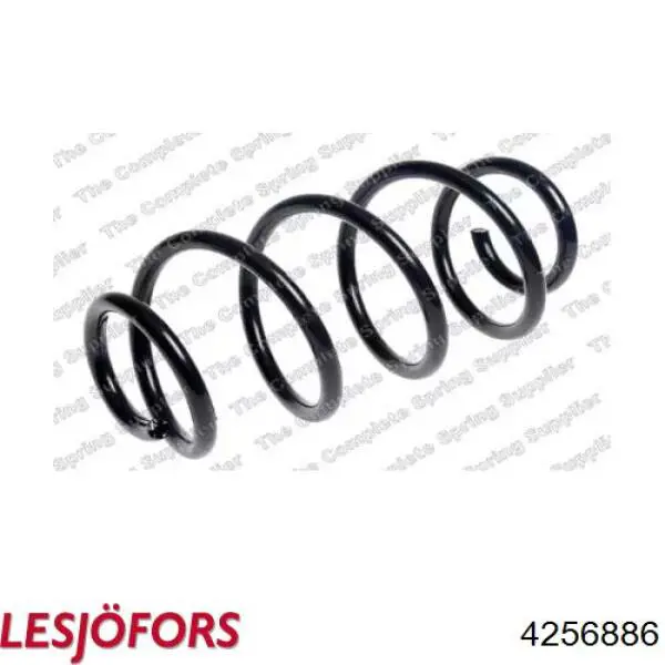 A2463242404 Mercedes Mola traseira