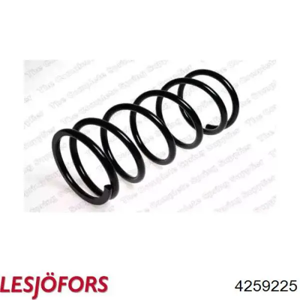 Compre 4259225 Lesjofors Mola traseira