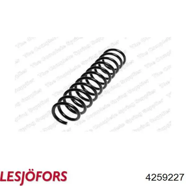 Compre 4259227 Lesjofors Mola traseira
