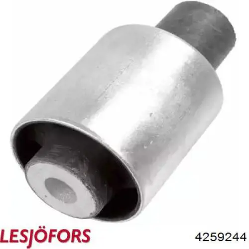 Compre 4259244 Lesjofors Mola traseira
