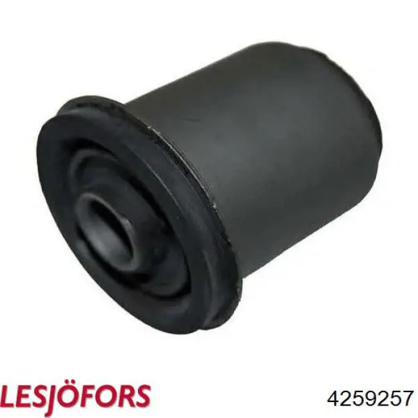 Mola traseira Lesjofors 4259257 preço, a partir de 49,92 USD