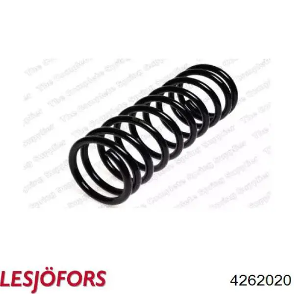 Compre ZC5387A Japan Parts Mola traseira