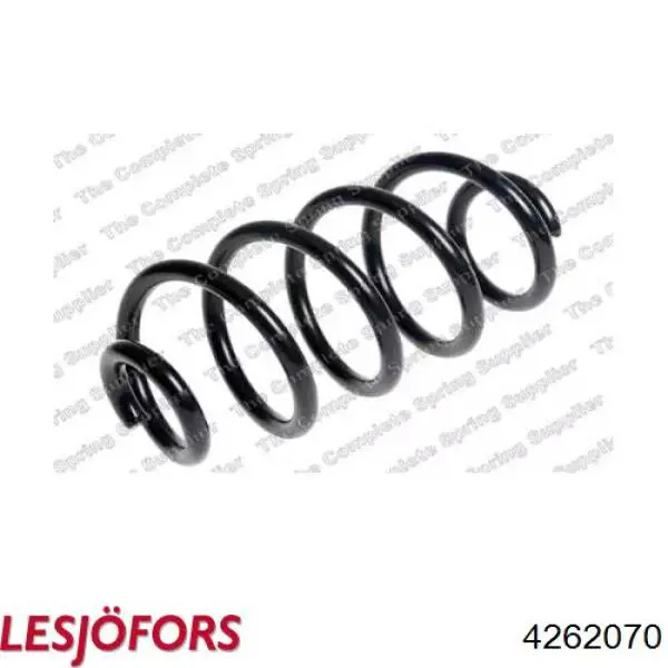 4262070 Lesjofors Mola traseira