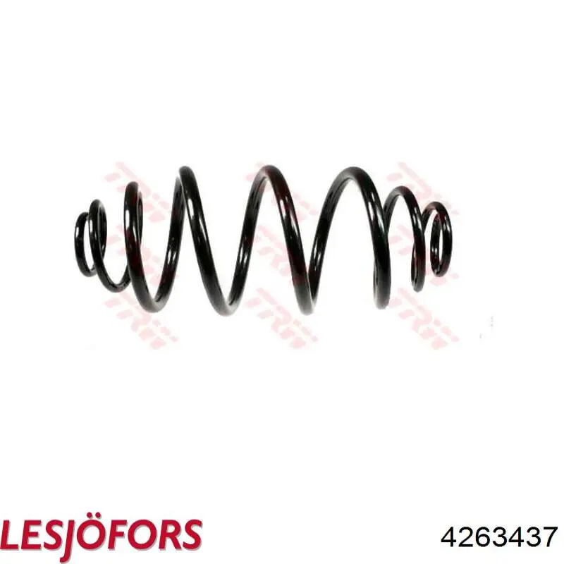Compre 4263437 Lesjofors Mola traseira