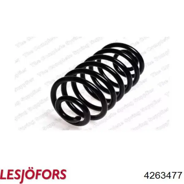 Compre 4263477 Lesjofors Mola traseira