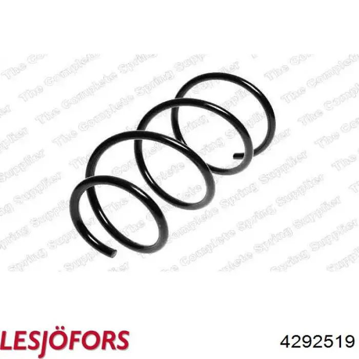 Compre 4292519 Lesjofors Mola traseira