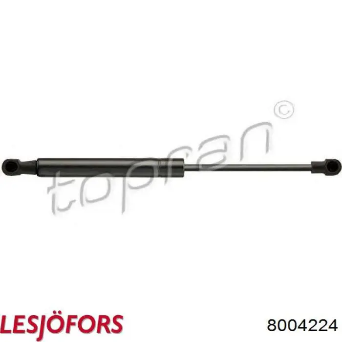 Amortecedor da capota Lesjofors 8004224 preço, a partir de 13,38 USD