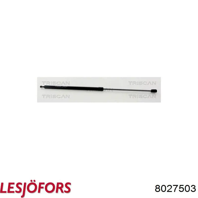 1860856 Ford Amortecedor da capota
