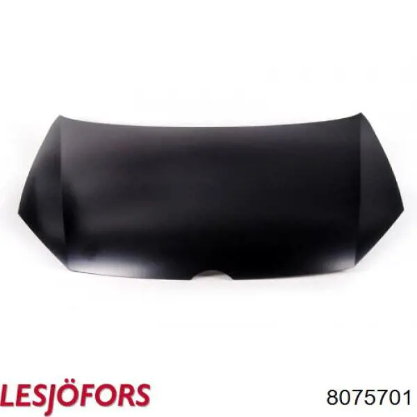 Amortecedor da capota Lesjofors 8075701 preço, a partir de 17,03 USD