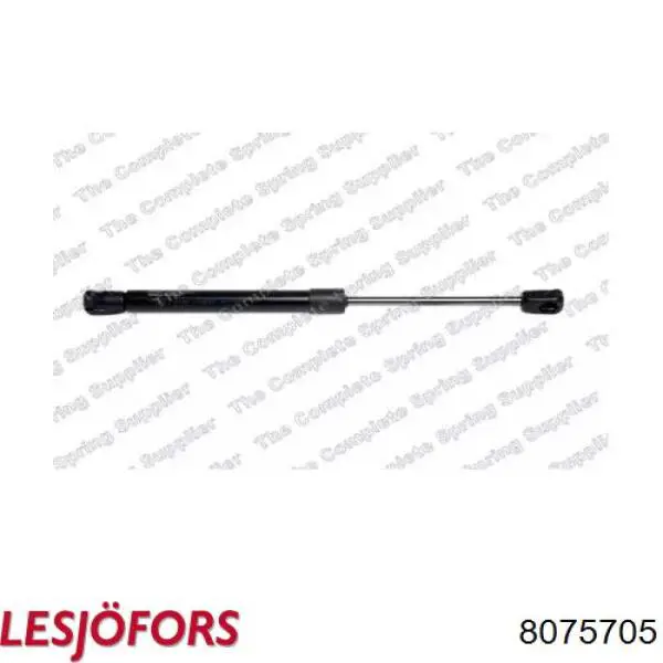ZSL0011 Japan Parts Amortecedor da capota
