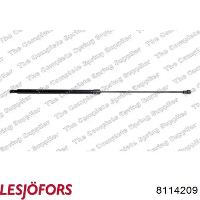Amortecedor de tampa de porta-malas (de 3ª/5ª porta traseira) Ashika ZSAW0013 preço, a partir de 15,08 USD