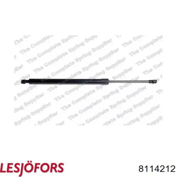 Amortecedor de tampa de porta-malas (de 3ª/5ª porta traseira) General Motors 95985322 preço, a partir de 19,48 USD