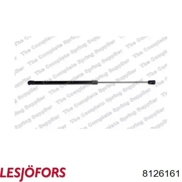 Compre 10100580 Abakus Amortecedor de tampa de porta-malas (de 3ª/5ª porta traseira)