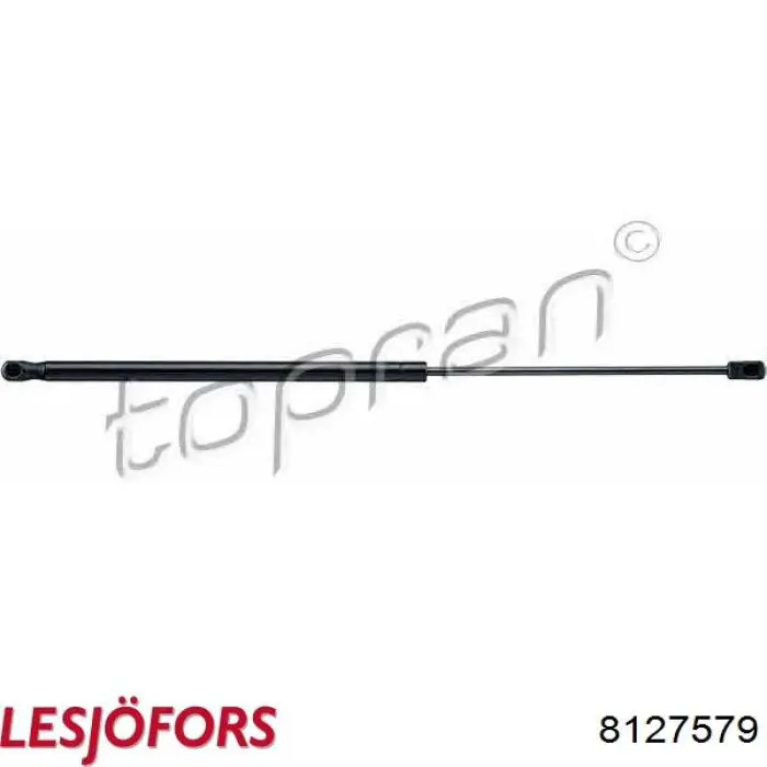 Amortecedor de tampa de porta-malas (de 3ª/5ª porta traseira) Lesjofors 8127579 preço, a partir de 26,02 USD