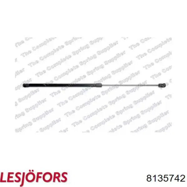 Amortecedor de tampa de porta-malas (de 3ª/5ª porta traseira) Magneti Marelli 430719126400 preço, a partir de 25,74 USD