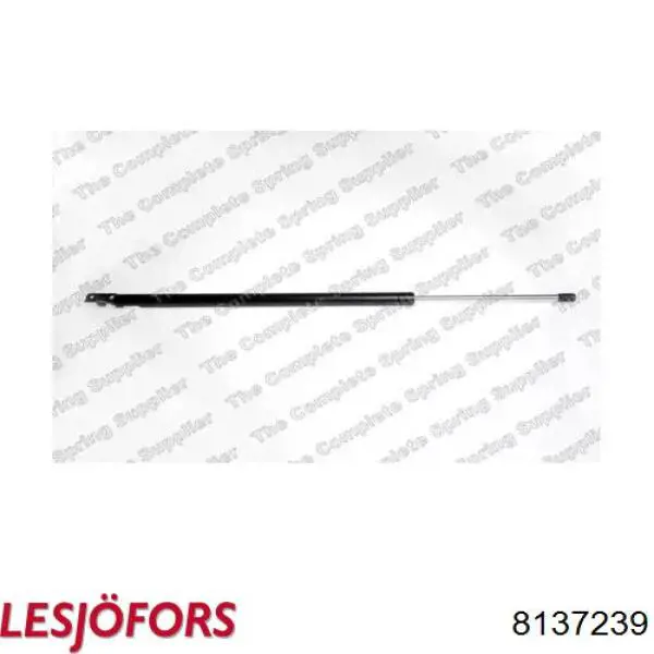 Amortecedor de tampa de porta-malas (de 3ª/5ª porta traseira) Lesjofors 8137239 preço, a partir de 32,28 USD