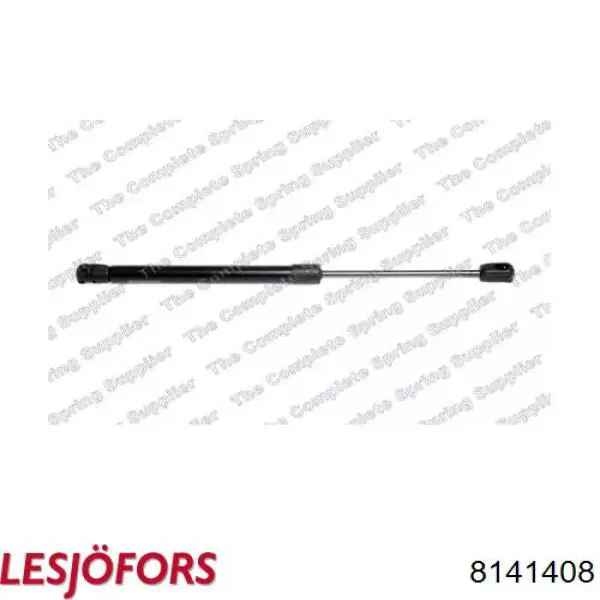 Compre 6387CC Stabilus Amortecedor de tampa de porta-malas (de 3ª/5ª porta traseira)