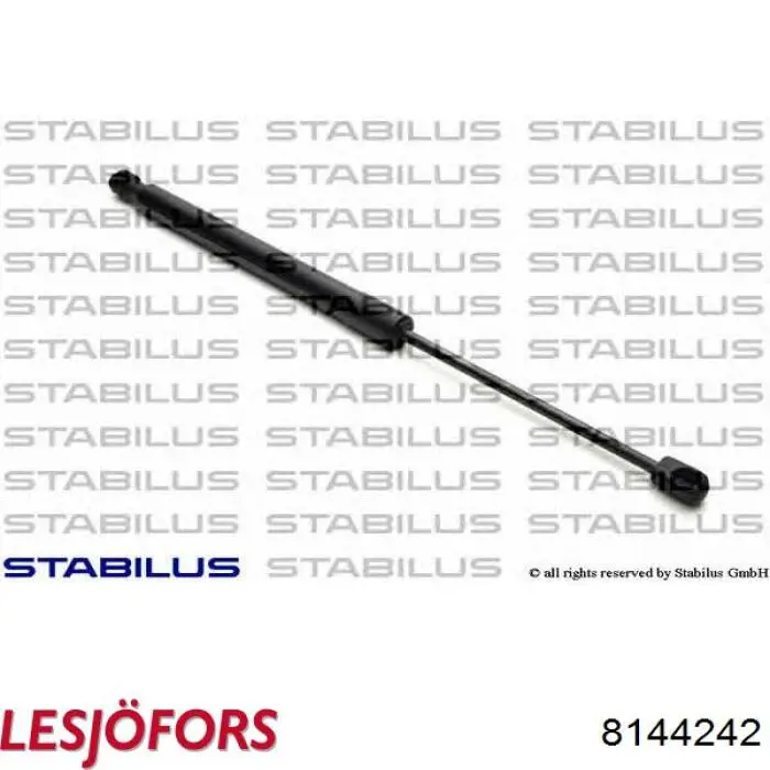 Compre 430719117700 Magneti Marelli Amortecedor de tampa de porta-malas (de 3ª/5ª porta traseira)
