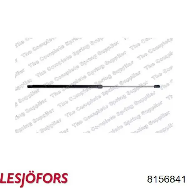 Compre 642221 Stabilus Amortecedor de tampa de porta-malas (de 3ª/5ª porta traseira)