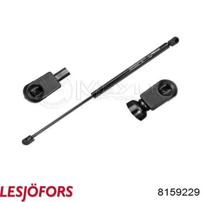Compre AEMS010 NTY Amortecedor de tampa de porta-malas (de 3ª/5ª porta traseira)