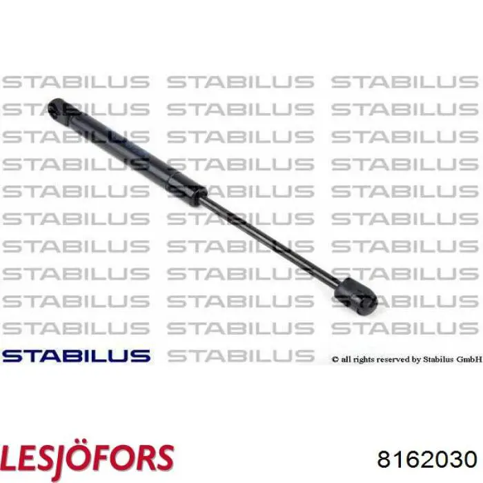 Compre 8162030 Lesjofors Amortecedor de tampa de porta-malas (de 3ª/5ª porta traseira)