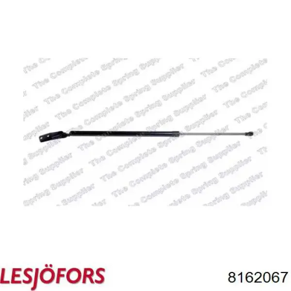 904514BA0B Nissan/Infiniti Amortecedor de tampa de porta-malas (de 3ª/5ª porta traseira)