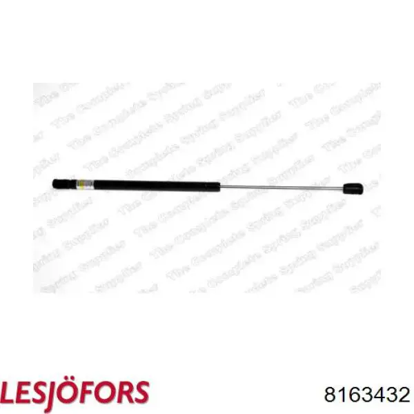 Amortecedor de tampa de porta-malas (de 3ª/5ª porta traseira) Lesjofors 8163432 preço, a partir de 18,60 USD