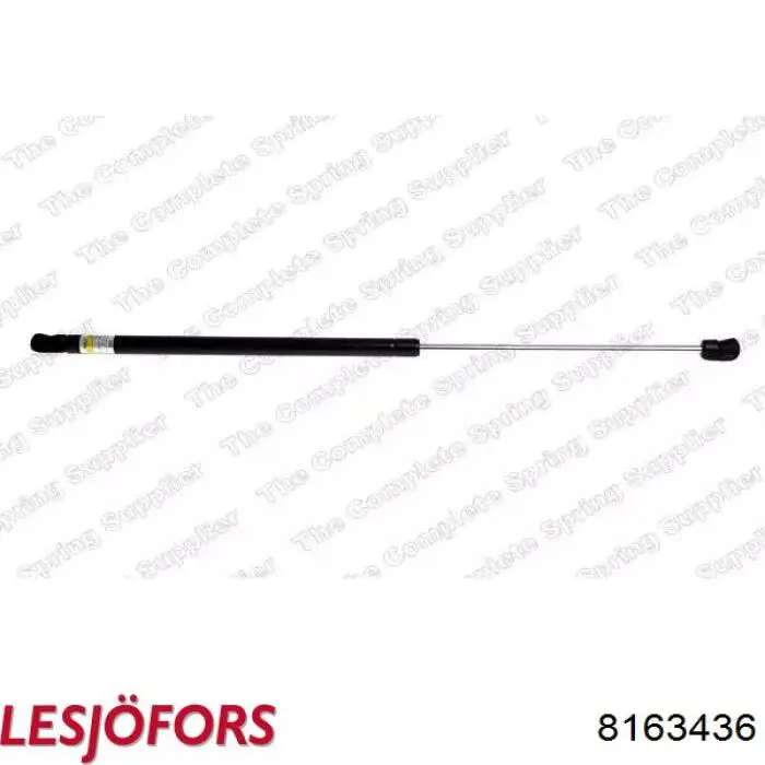 Amortecedor de tampa de porta-malas (de 3ª/5ª porta traseira) Lesjofors 8163436 preço, a partir de 14,69 USD
