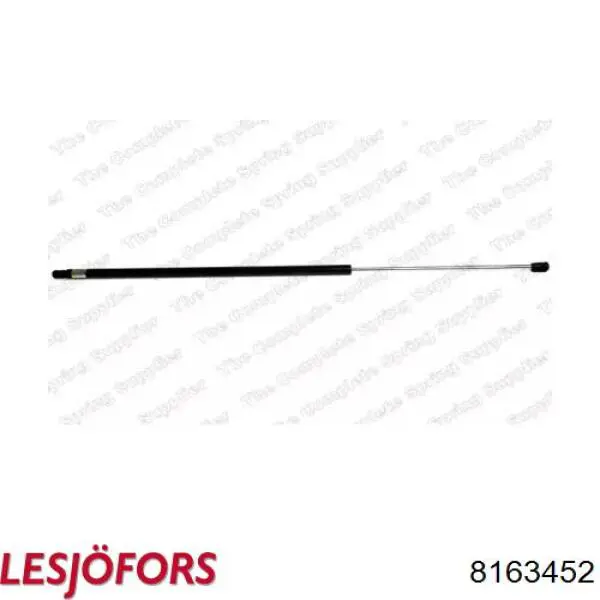 Amortecedor de tampa de porta-malas (de 3ª/5ª porta traseira) Lesjofors 8163452 preço, a partir de 21,28 USD
