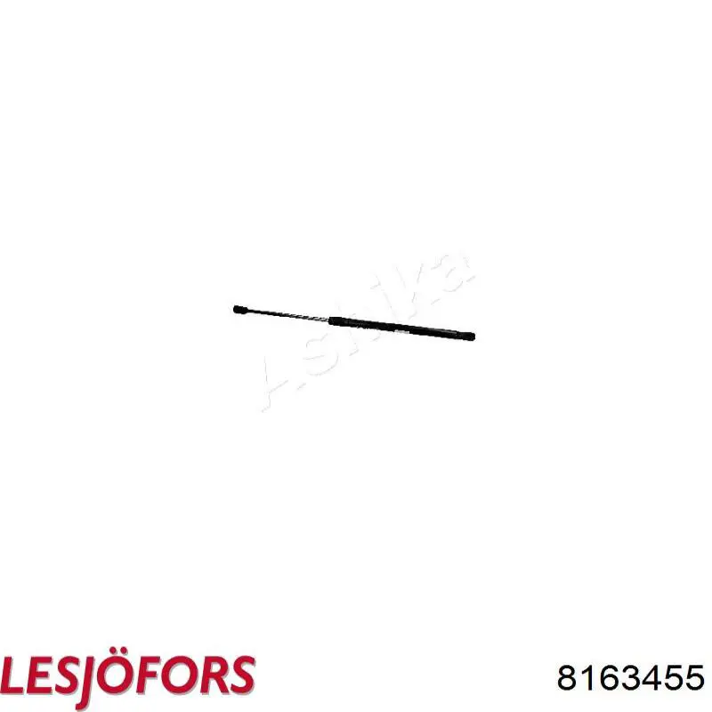 Amortecedor de tampa de porta-malas (de 3ª/5ª porta traseira) Lesjofors 8163455 preço, a partir de 21,19 USD