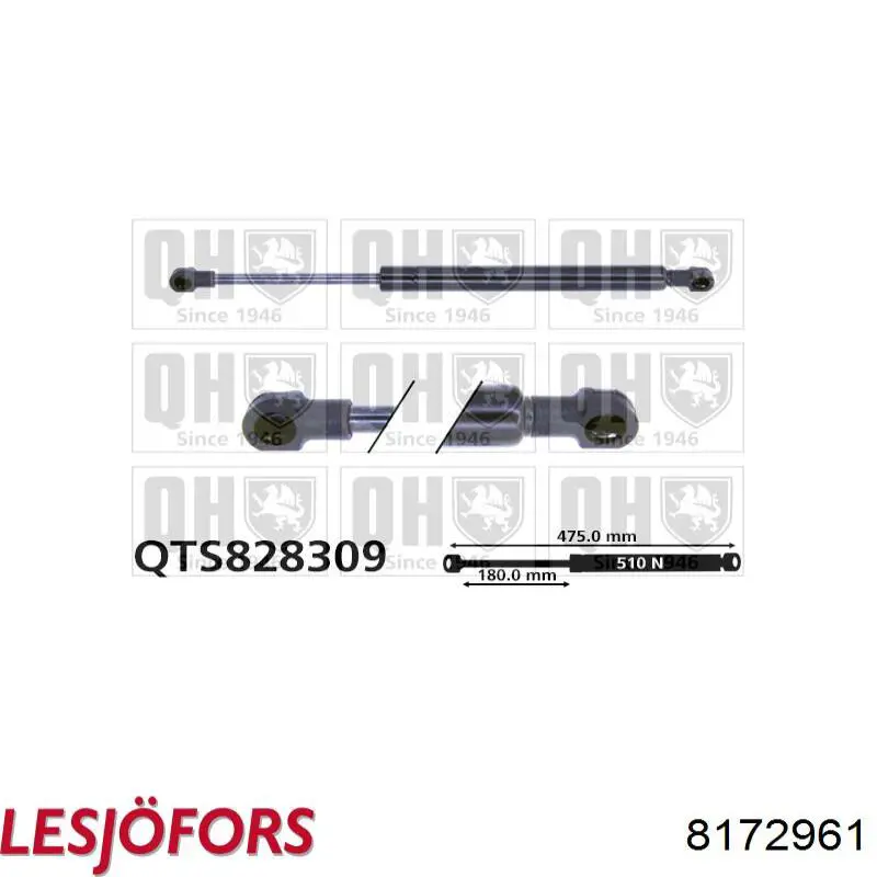 Compre 8172961 Lesjofors Amortecedor de tampa de porta-malas (de 3ª/5ª porta traseira)