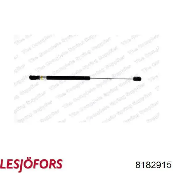 Compre 24013 Stabilus Amortecedor de tampa de porta-malas (de 3ª/5ª porta traseira)