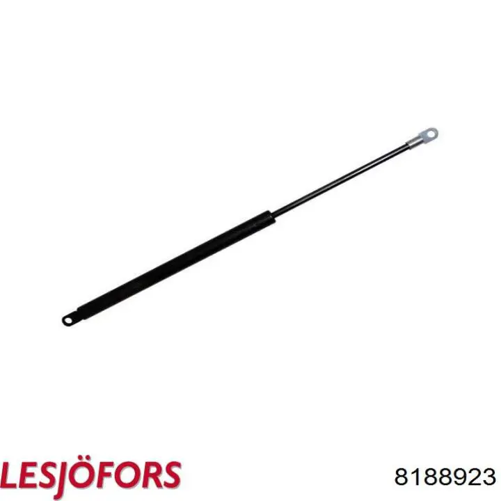 Compre ZS80005 Japan Parts Amortecedor de tampa de porta-malas (de 3ª/5ª porta traseira)