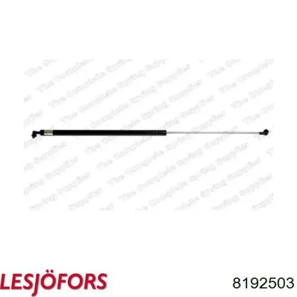 Amortecedor de tampa de porta-malas (de 3ª/5ª porta traseira) Lesjofors 8192503 preço, a partir de 23,37 USD