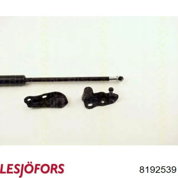 Compre 8192539 Lesjofors Amortecedor de tampa de porta-malas (de 3ª/5ª porta traseira)