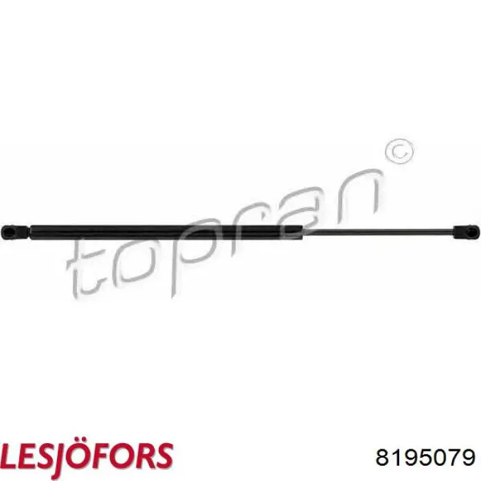 Amortecedor de tampa de porta-malas (de 3ª/5ª porta traseira) Lesjofors 8195079 preço, a partir de 12,62 USD