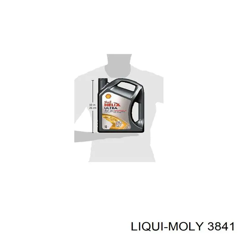 3841 Liqui Moly Óleo para motor