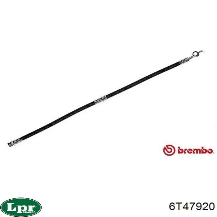 Compre 6T47920 LPR Mangueira do freio dianteira