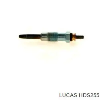 Compre HDS255 Lucas Vela de incandescência