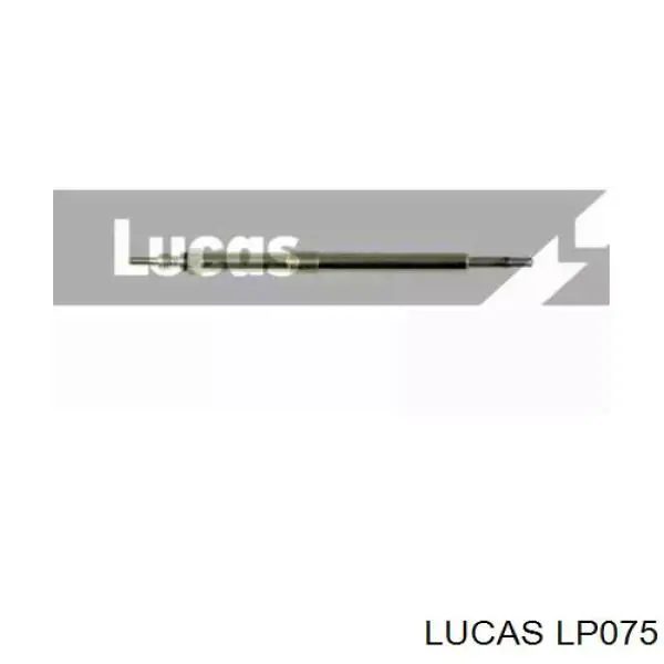 Compre LP075 Lucas Vela de incandescência