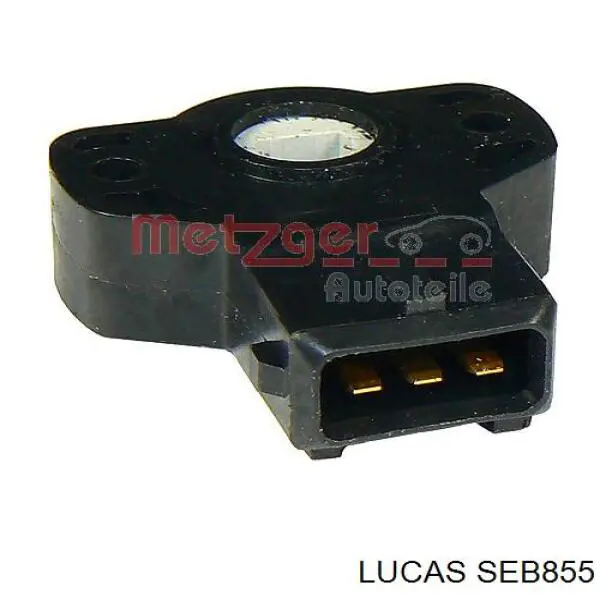 Compre 6590860 Ford Sensor de posição da válvula de borboleta (potenciômetro)